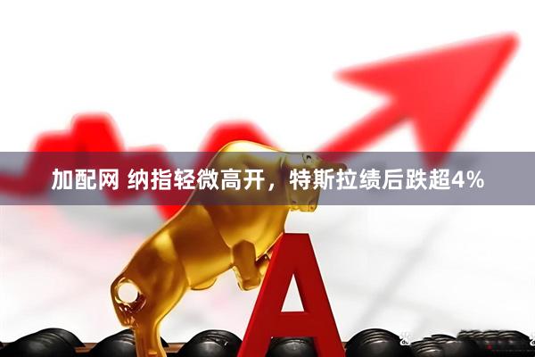 加配网 纳指轻微高开，特斯拉绩后跌超4%