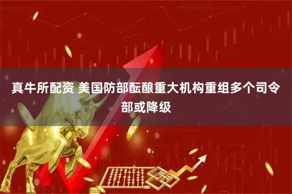 真牛所配资 美国防部酝酿重大机构重组　多个司令部或降级